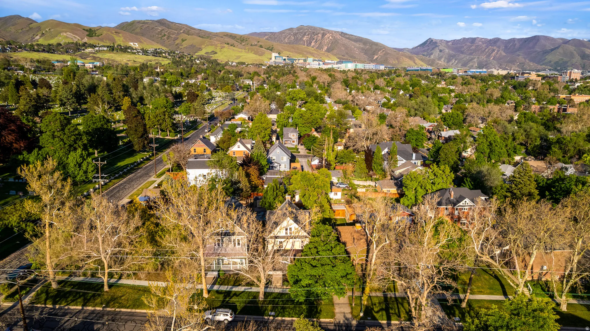 Neighborhood of residential properties with mature landscaping and distant mountain range
