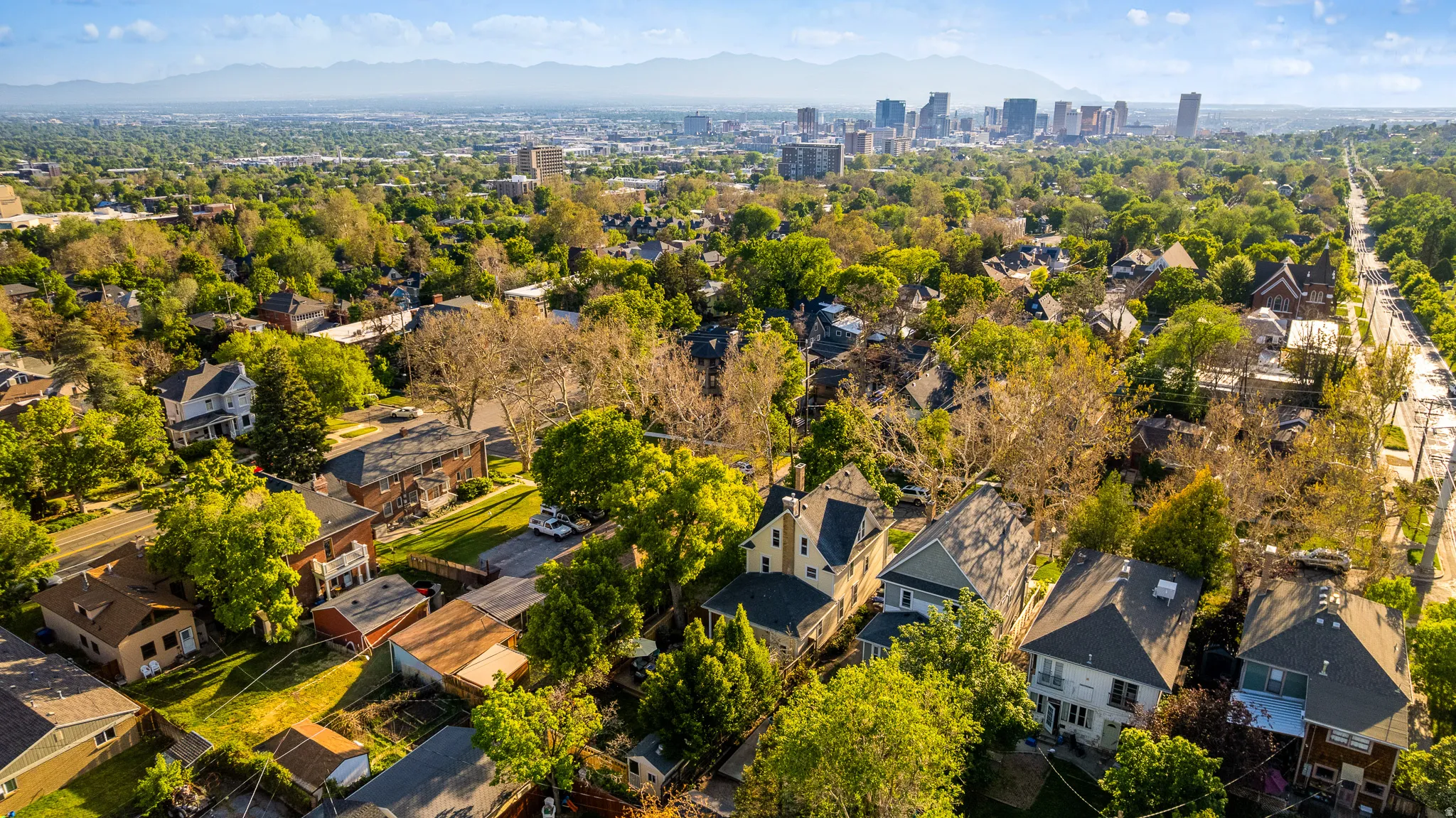 Aerial perspective showcasing a residential area with mature trees and established properties