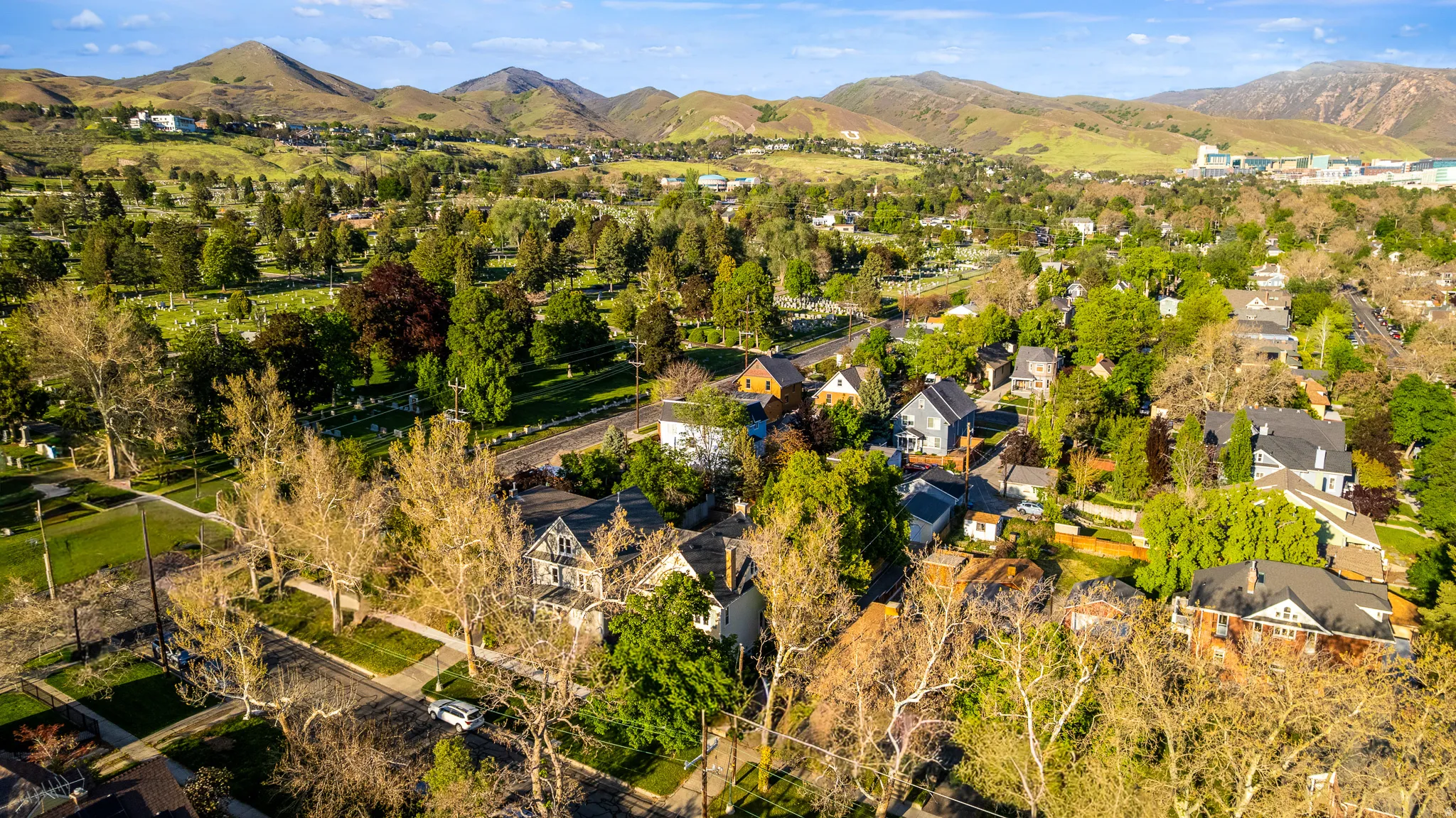Residential area featuring mature trees and a distant mountain landscape