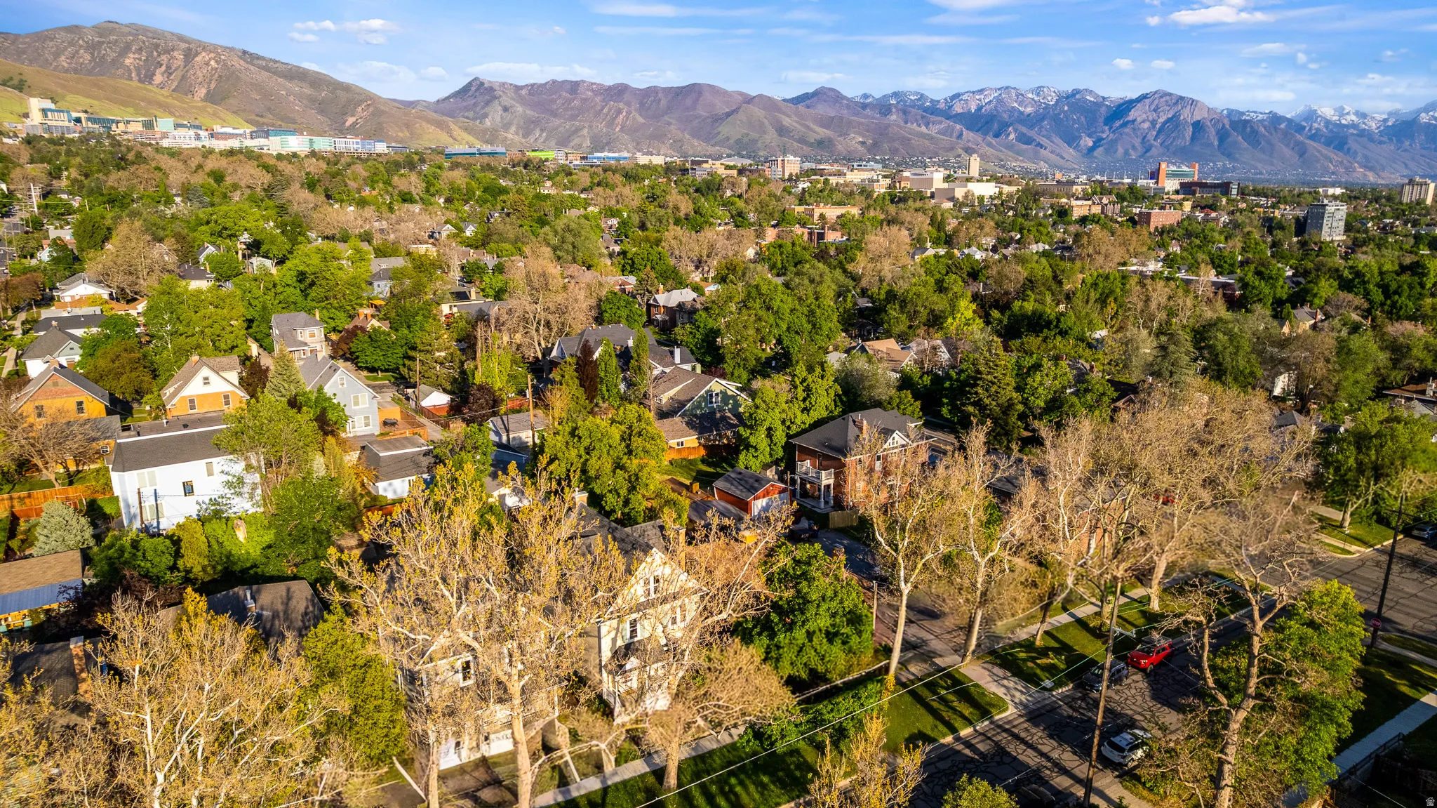 Established neighborhood with mature trees, diverse architectural styles, and distant mountain ranges
