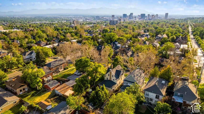 Aerial perspective showcasing a residential area with mature trees and established properties