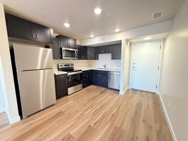 Modern kitchen featuring dark cabinetry, stainless steel appliances, light-toned countertops, and wood-finish flooring