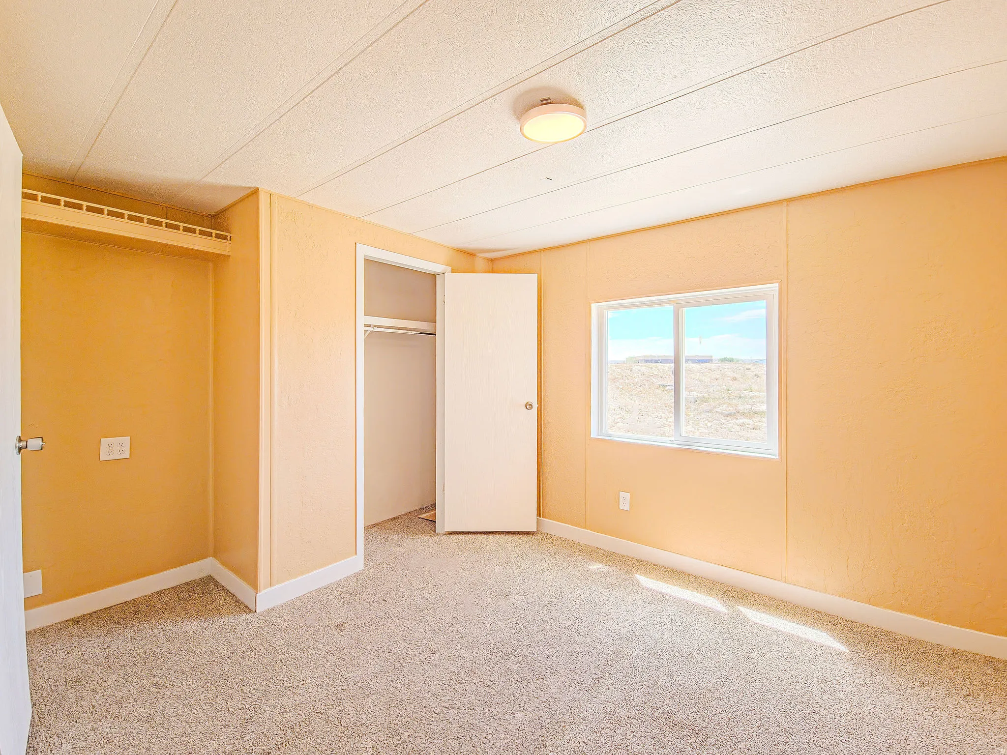 Room featuring neutral-toned carpeting, light orange walls, and white trim