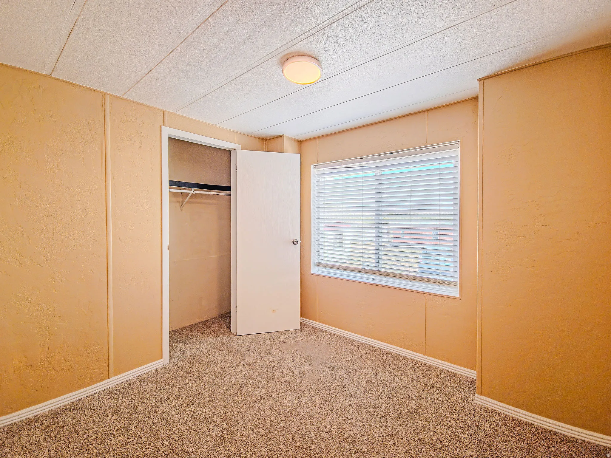 Carpeted room featuring a single window with blinds, a white interior door, a built-in closet with shelving, and a flush-mount ceiling light fixture