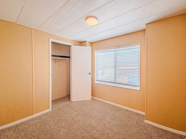 Carpeted room featuring a single window with blinds, a white interior door, a built-in closet with shelving, and a flush-mount ceiling light fixture