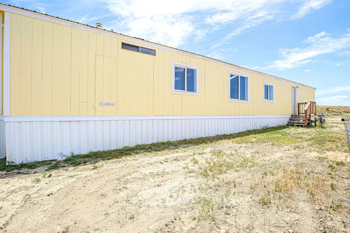 Yellow panel siding with multiple windows and white trim