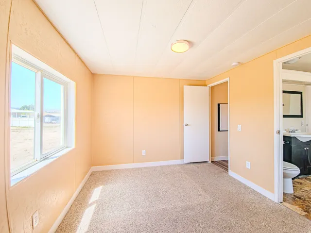 Carpeted interior space featuring a large window, a ceiling-mounted light fixture, and a white door with a round handle