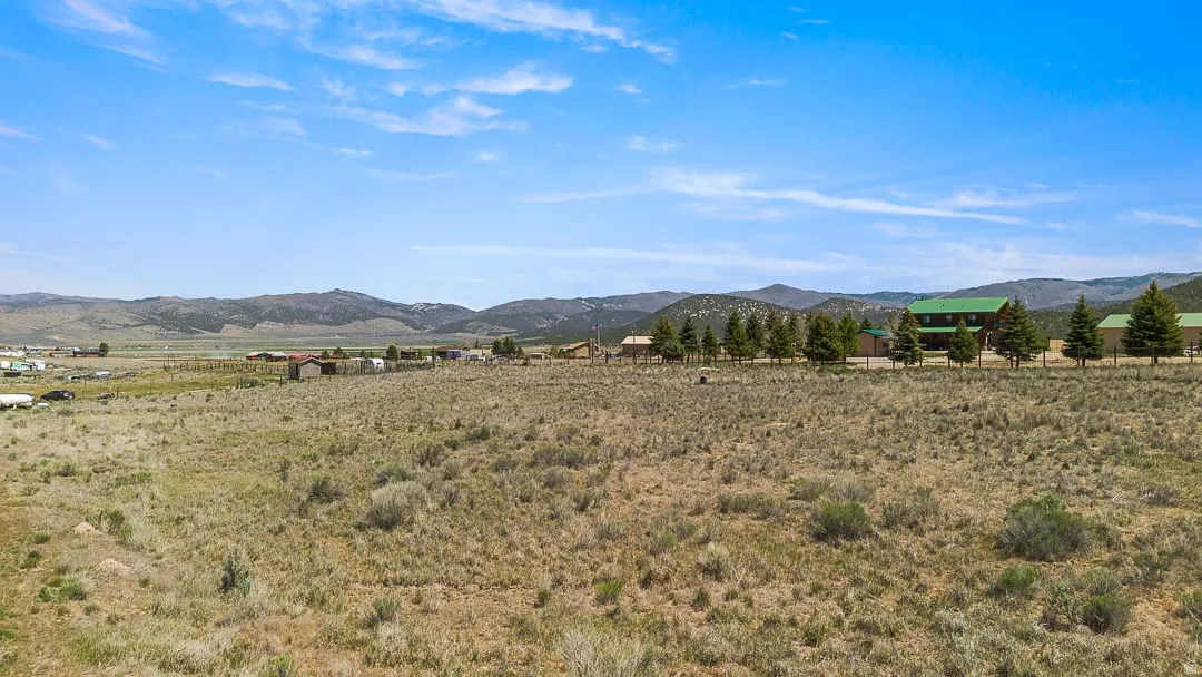 Expansive undeveloped land featuring natural vegetation, distant mountains, and a clear sky overhead