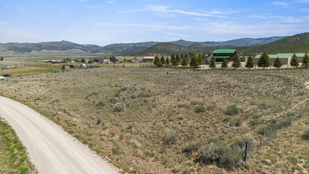 Expansive land parcel featuring natural vegetation and a gravel road