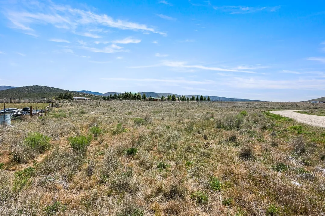 Expansive open land with a gravel road, distant evergreen trees, and rolling hills forming a natural backdrop