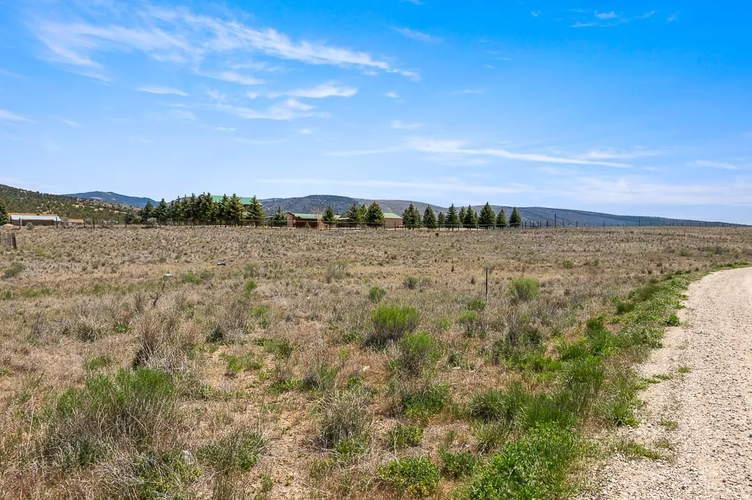 Expansive undeveloped land featuring a gravel road and distant structures, framed by a clear blue sky