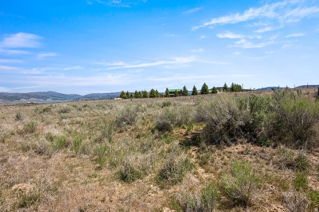 Expansive open land with natural shrubbery and distant mountainous terrain