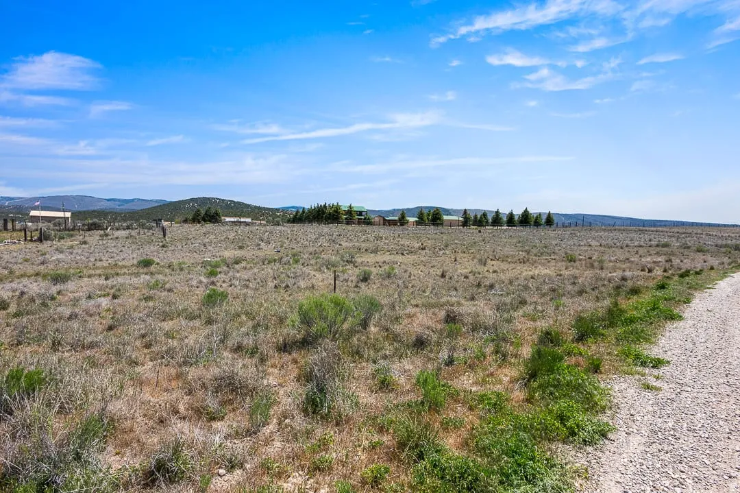 Expansive undeveloped land featuring natural shrubbery and a gravel path
