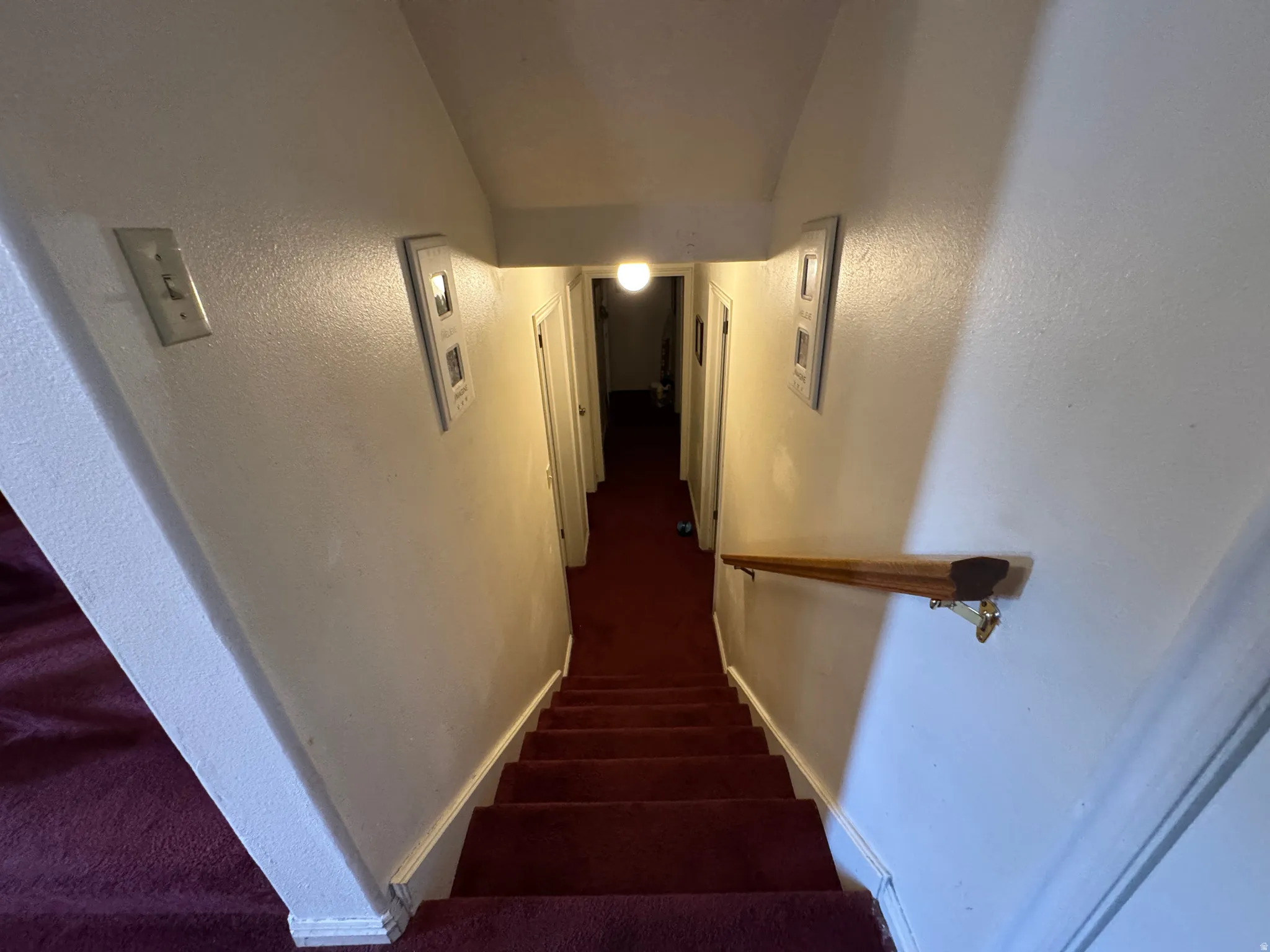 Carpeted staircase with a wood-finish handrail and light-toned walls