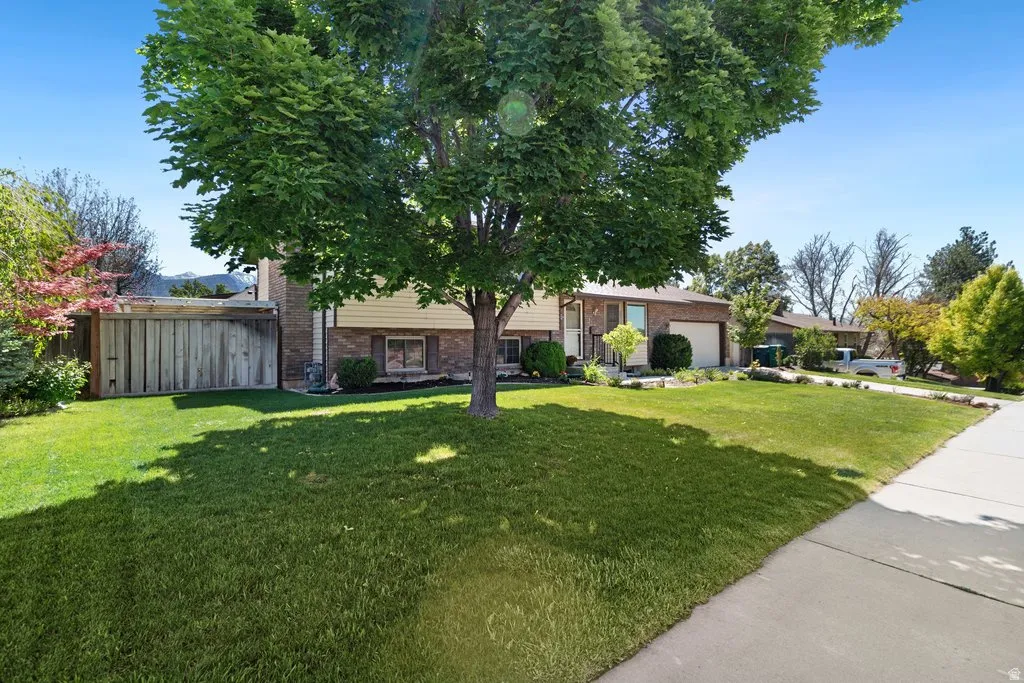Spacious front yard with mature tree providing shade