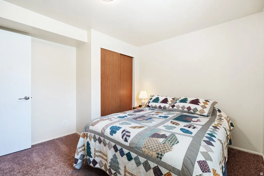 Carpeted bedroom featuring white painted walls and wood-finish sliding closet doors