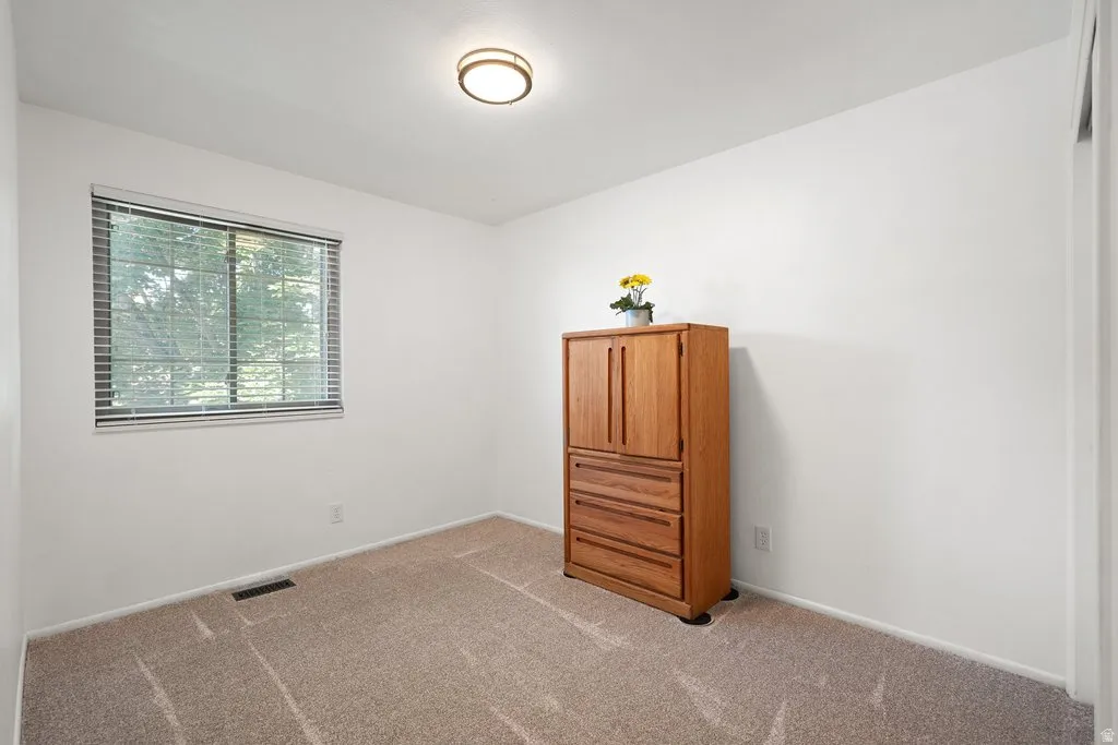 Carpeted room with a window featuring blinds, a white ceiling, and a flush-mount light fixture