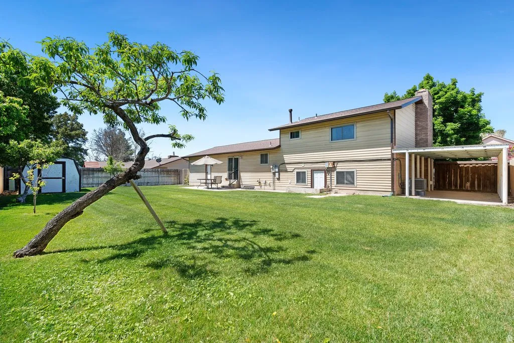 Spacious backyard with a large lawn, mature tree, and a shed & fruit trees