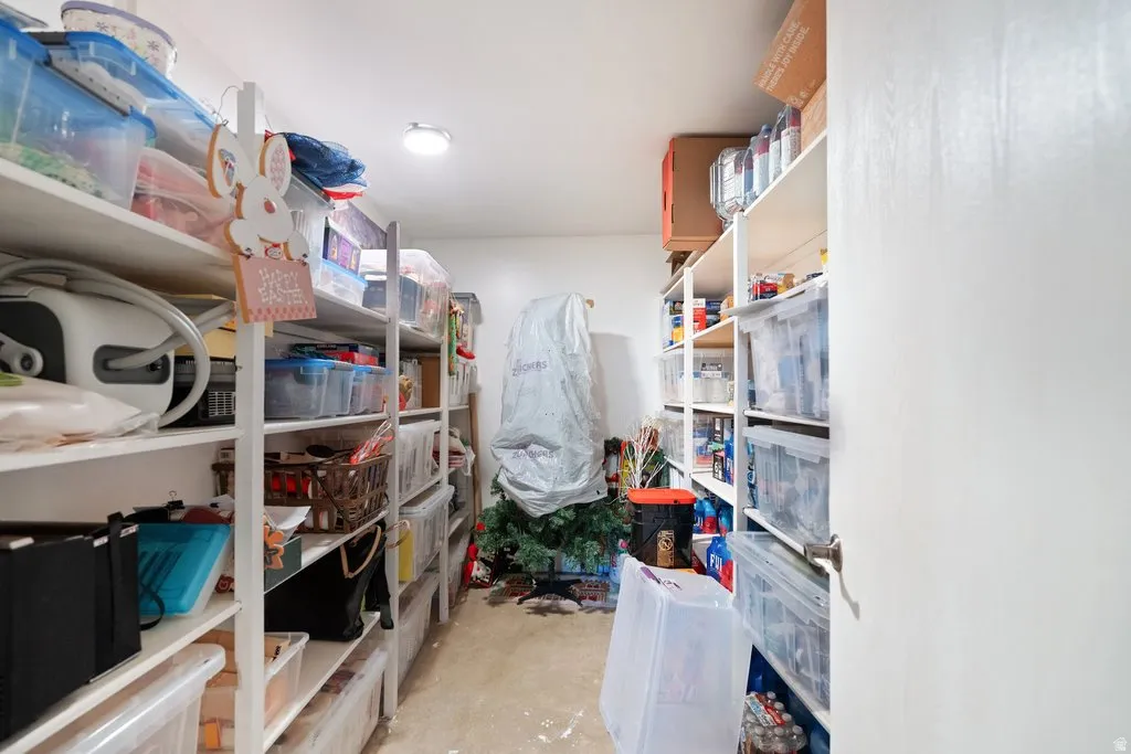 Storage room with built-in shelving and overhead lighting