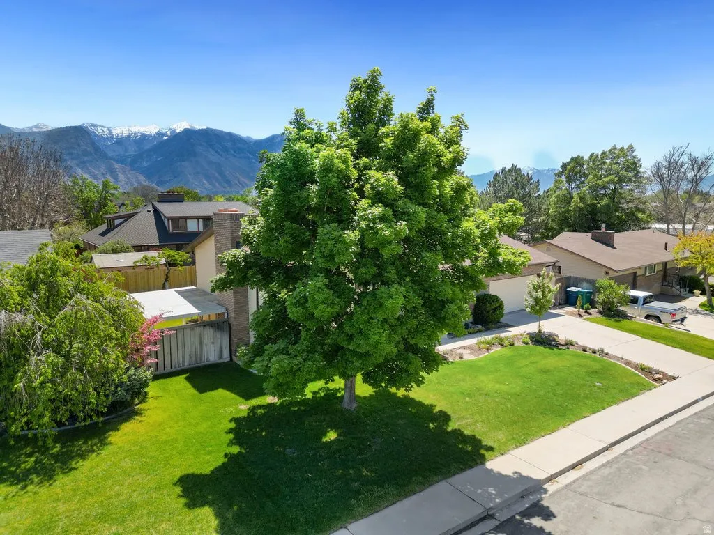 Lush green lawn with mature tree shading, a two-car driveway, and a partially visible garage