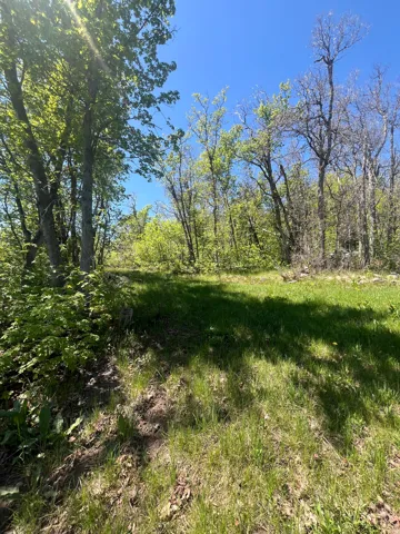 466 N Oakwood Dr, Springville, Utah 84663