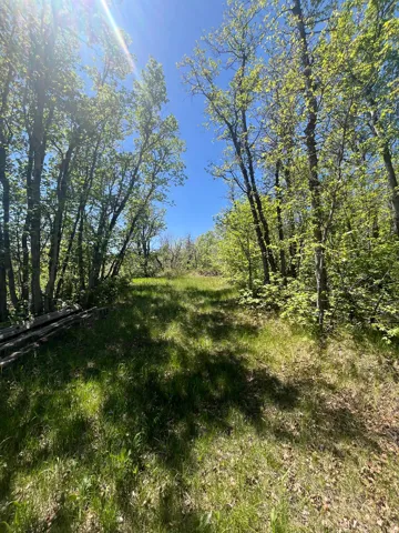 466 N Oakwood Dr, Springville, Utah 84663