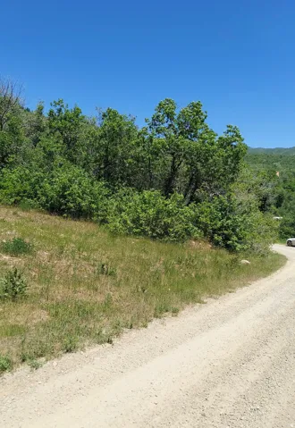 Driveway access from the road