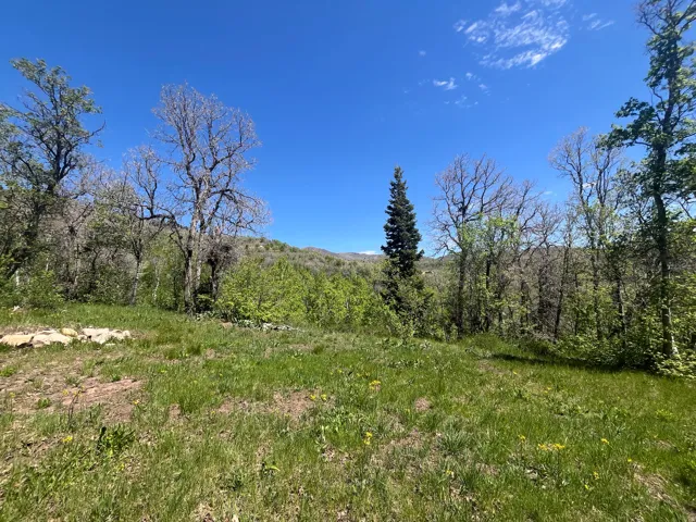 Lots of flat areas