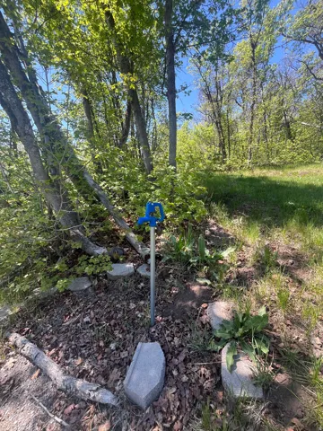 Outdoor spigot