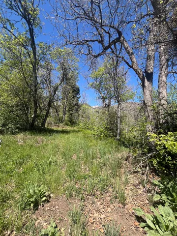 466 N Oakwood Dr, Springville, Utah 84663