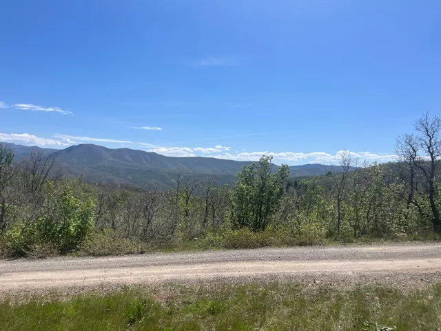 View from the driveway