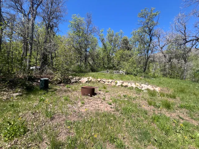 Fire pit