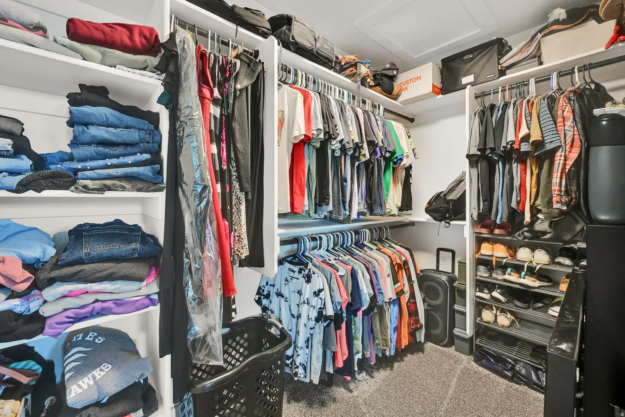 Walk-in closet featuring built-in shelving, multiple hanging rods, carpet flooring, and a ceiling access panel