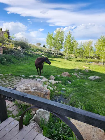 Expansive property featuring a verdant lawn, mature deciduous trees, a natural water feature, and a stone-paved pathway