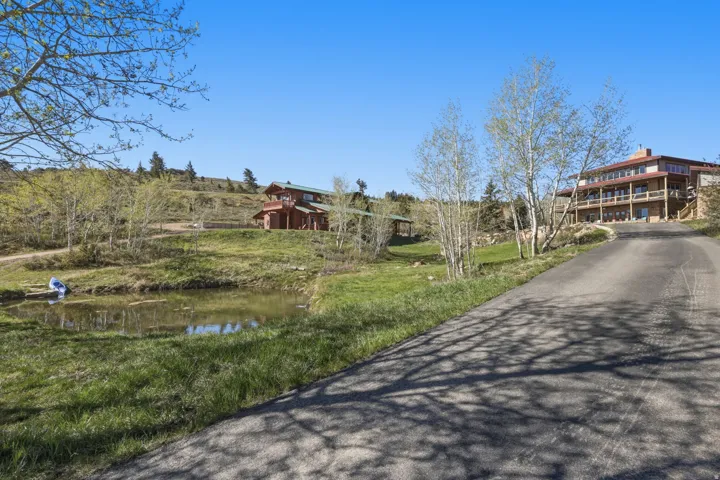 Paved driveway with a gentle incline, verdant hillside, and natural pond