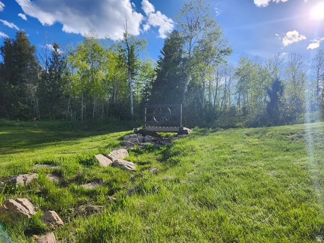 Yard