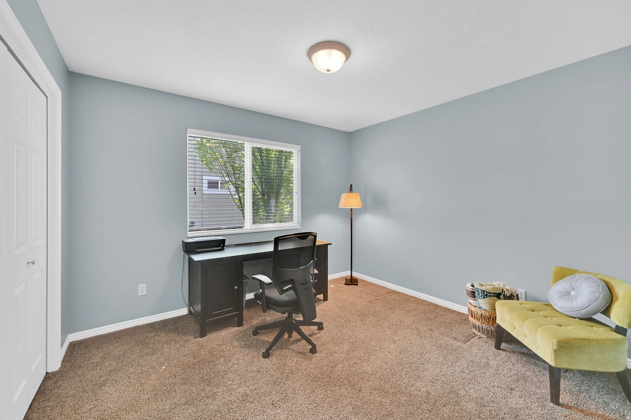 Bright room with carpeted flooring