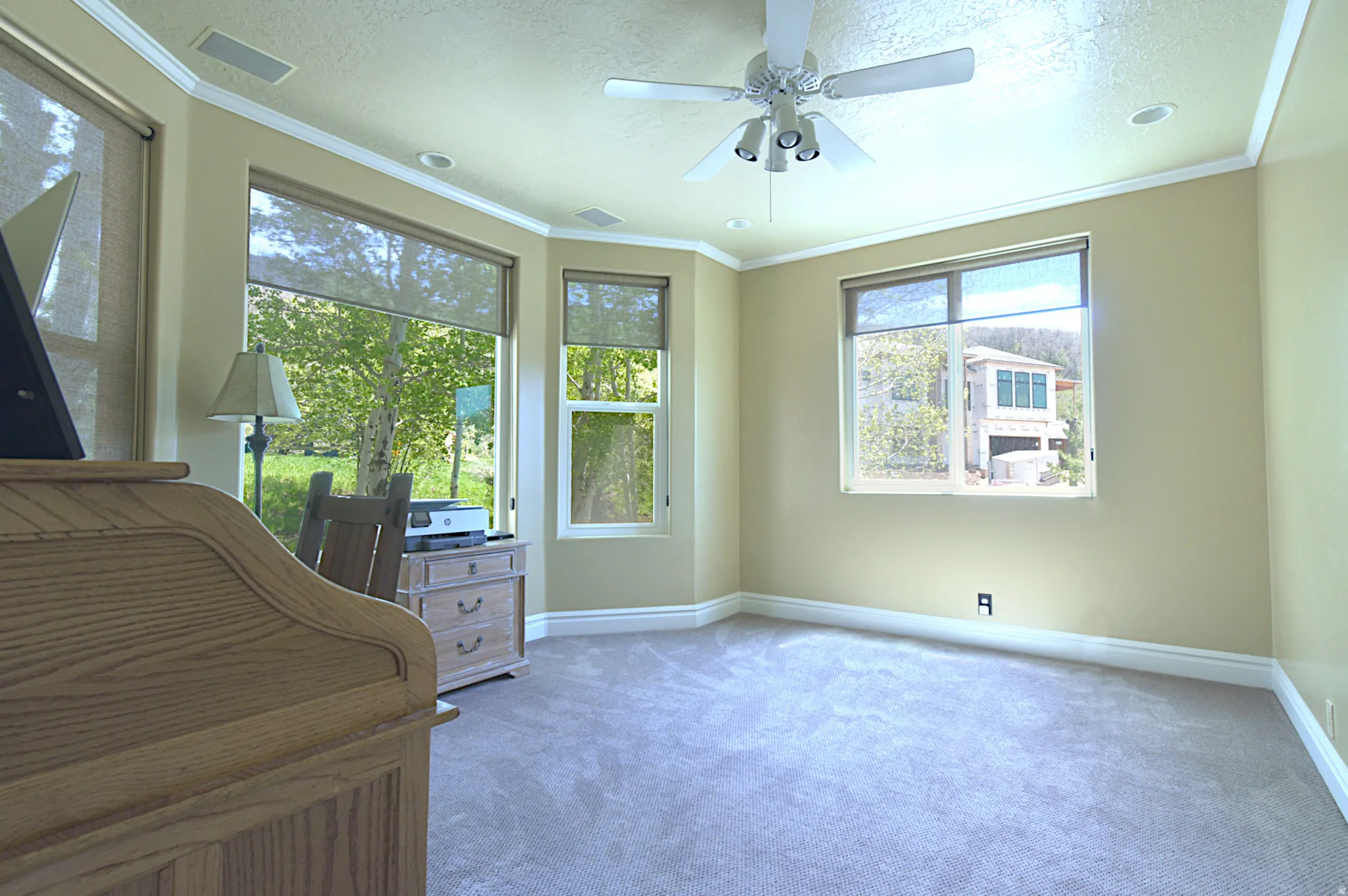 Spacious room featuring light-toned carpeting and multiple windows with roller shades