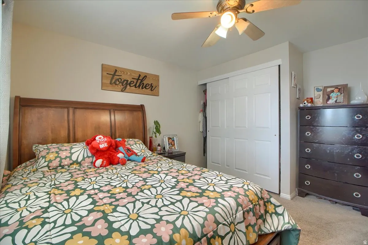 Neutral-toned walls complement plush carpet flooring