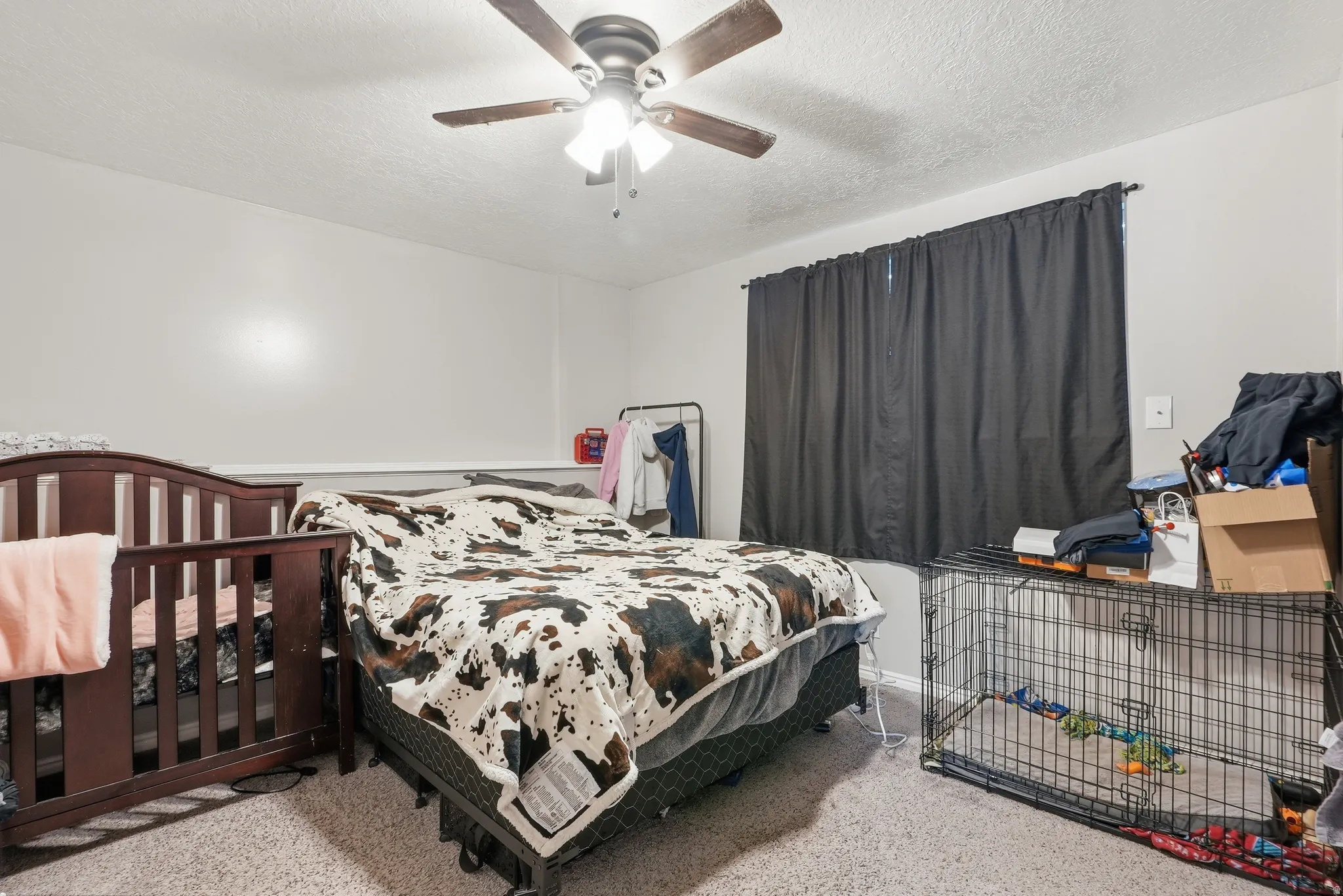 Bedroom featuring wall-to-wall carpeting and a ceiling fan with integrated lighting