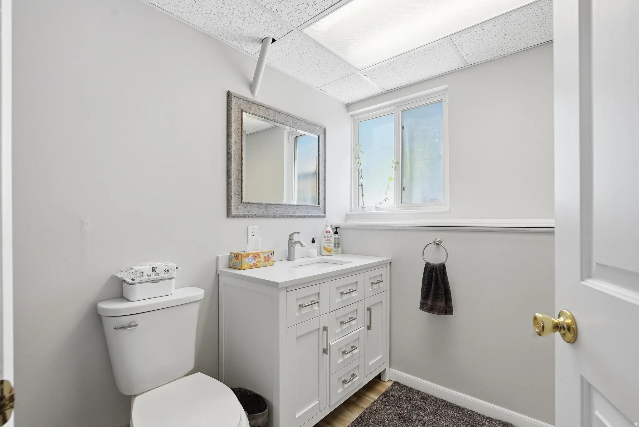 Light-filled bathroom featuring a white vanity with a rectangular sink, a large wall-mounted mirror, a window with frosted glass, and wood-finish flooring