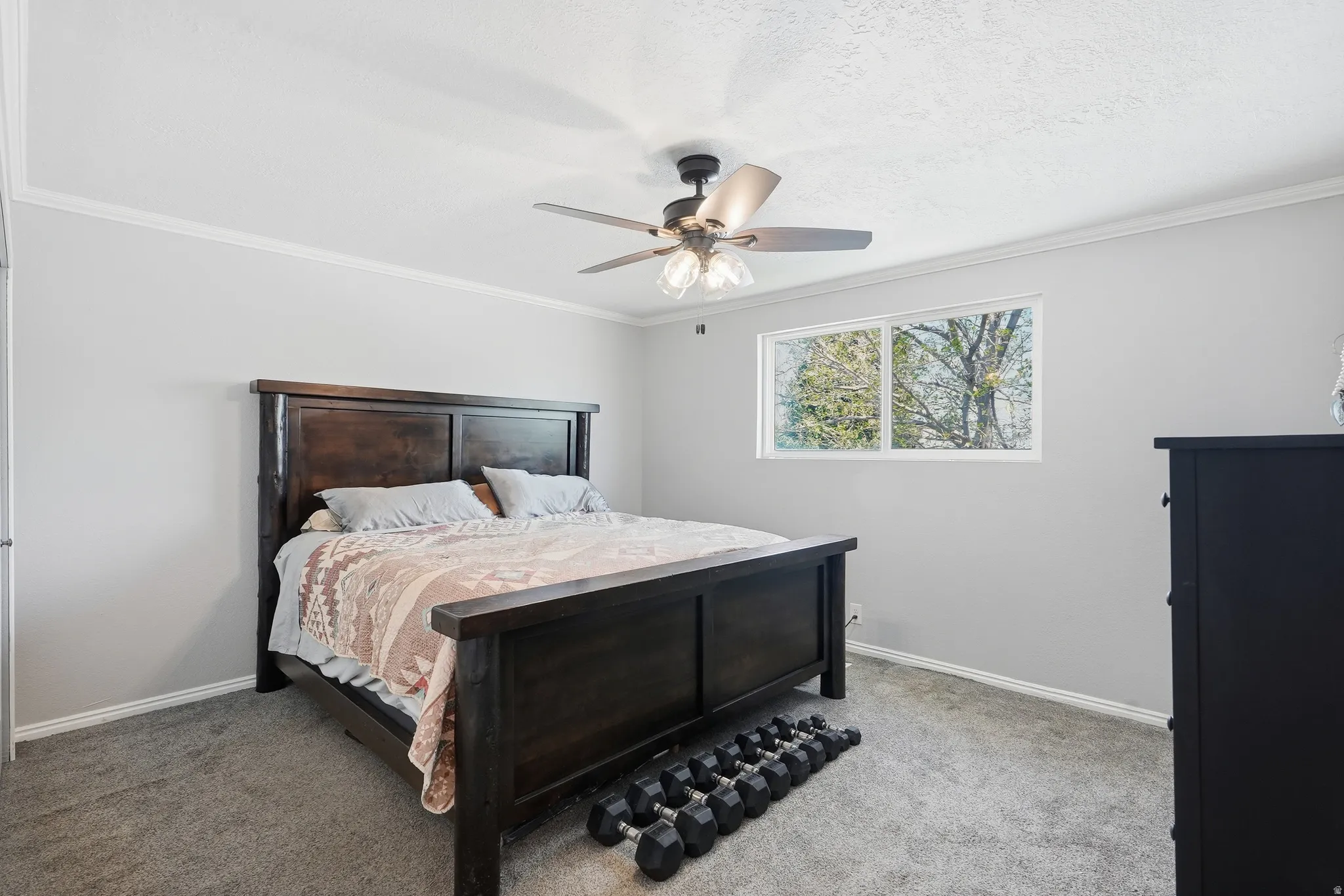Carpeted bedroom featuring a white-framed window, a ceiling fan with integrated lighting, and crown molding