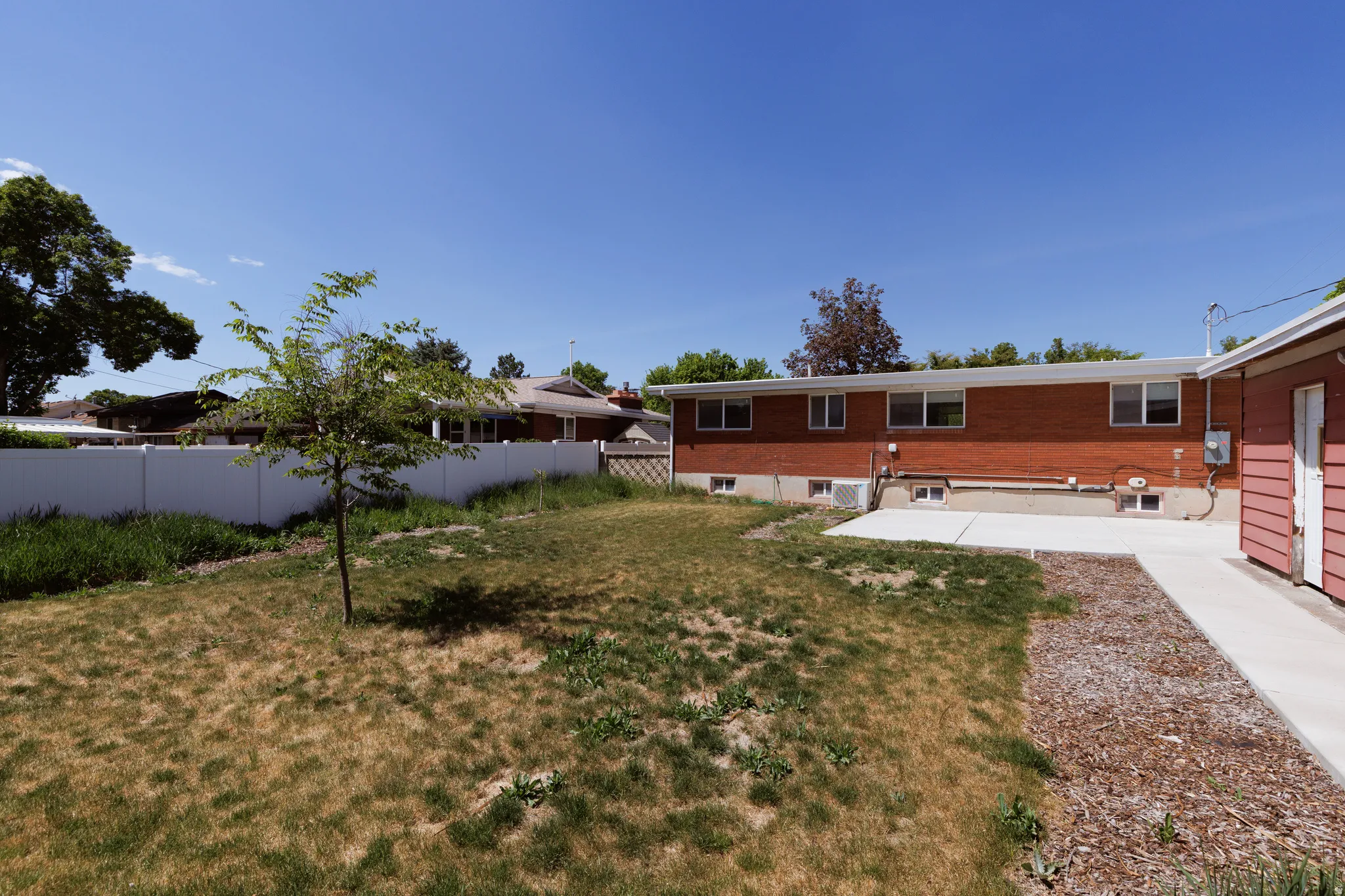 Expansive rear yard featuring a young tree, concrete patio, concrete walkway, and a full privacy fence