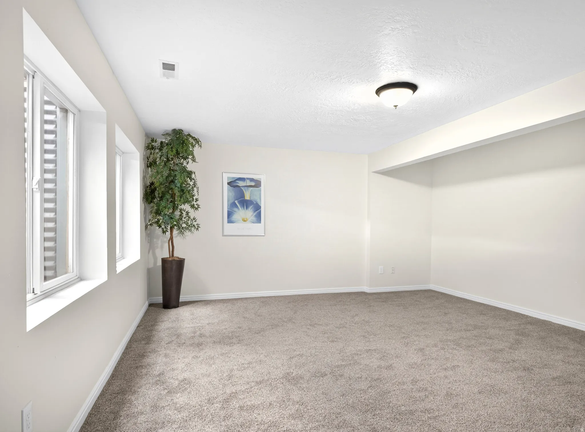 Carpeted room featuring light neutral wall paint, two white-framed windows, a white ceiling with a flush-mount light fixture, and white baseboards