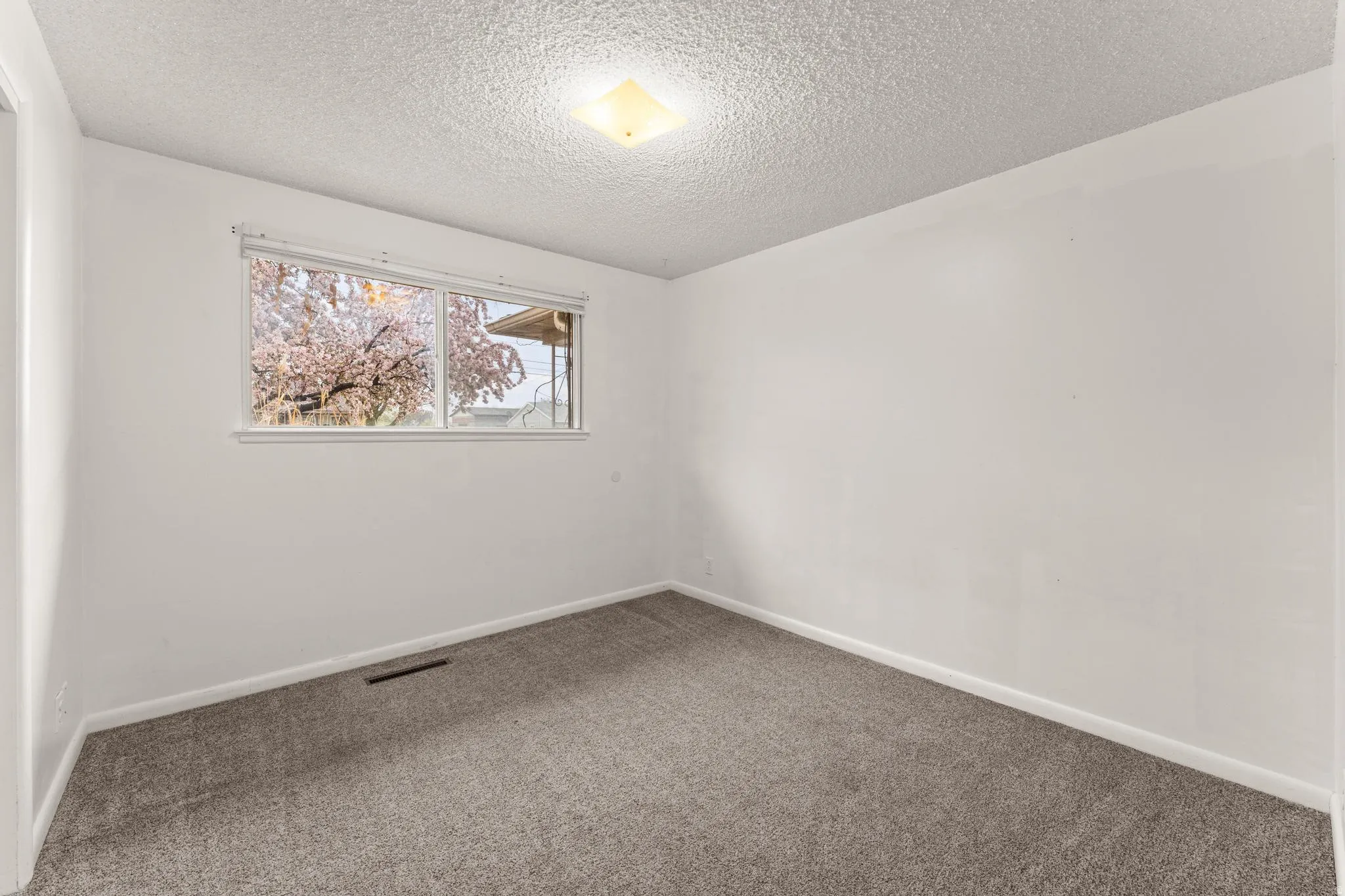 Carpeted empty room featuring baseboards and a textured ceiling