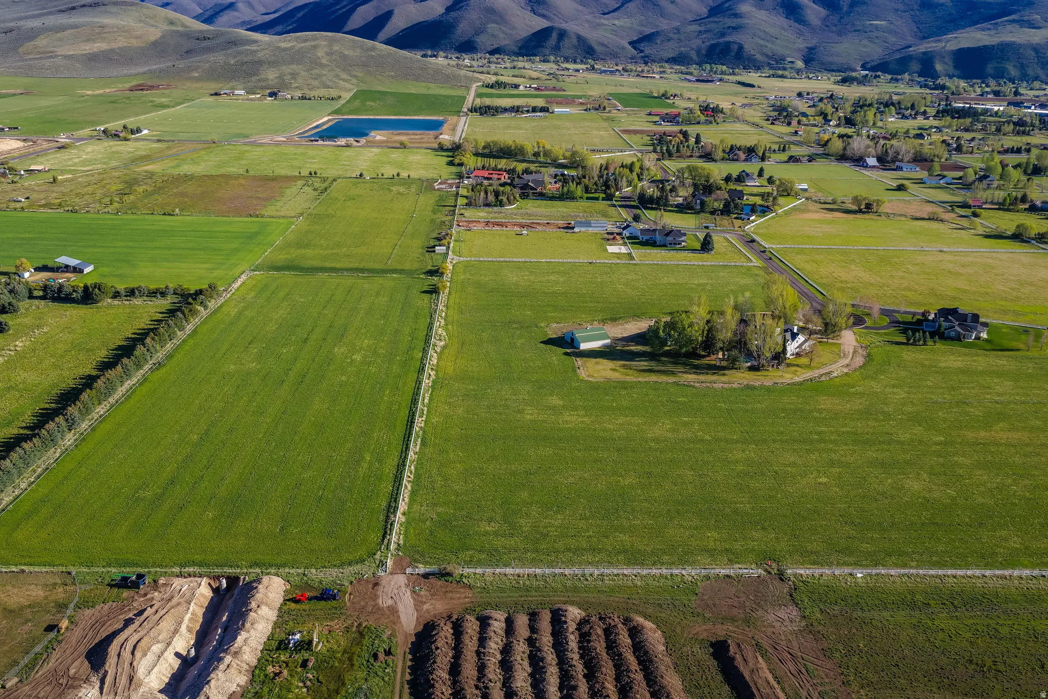 Expansive cultivated fields featuring a central cluster of mature trees and distant residential structures