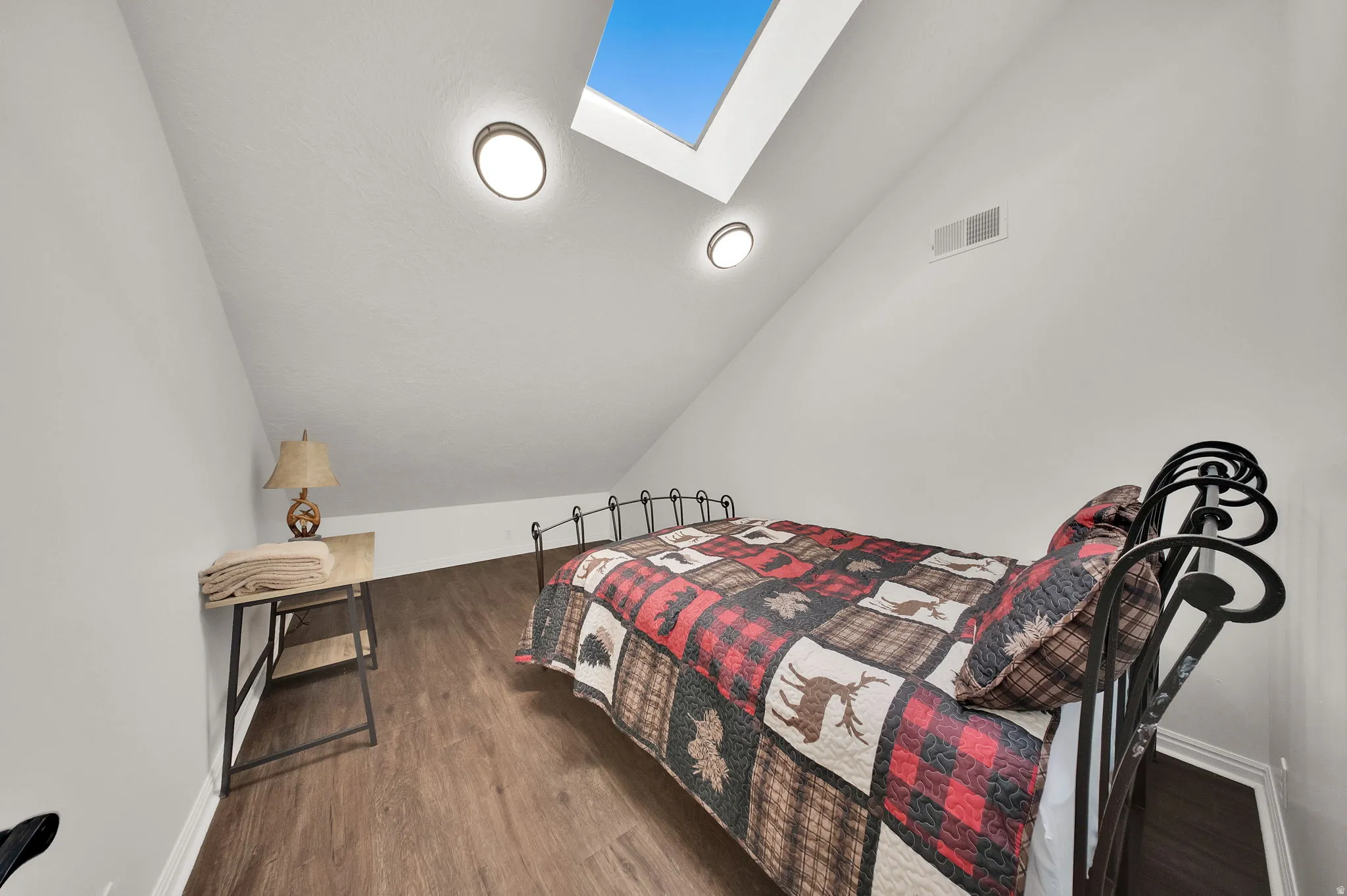 Vaulted ceiling with skylight and two flush-mount light fixtures, complemented by wood-finish flooring