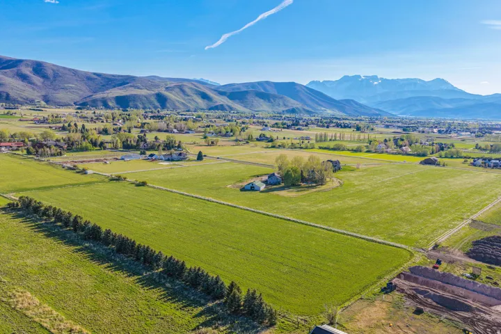 Expansive green fields with distant mountainous terrain