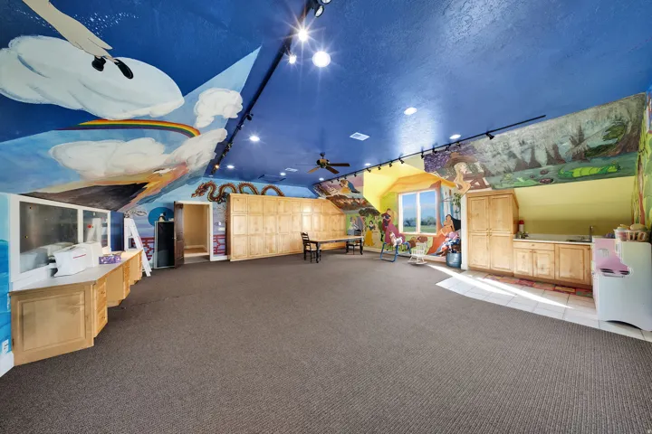 Spacious room or bedroom featuring murals, track lighting, built-in cabinetry, a window, and carpet flooring