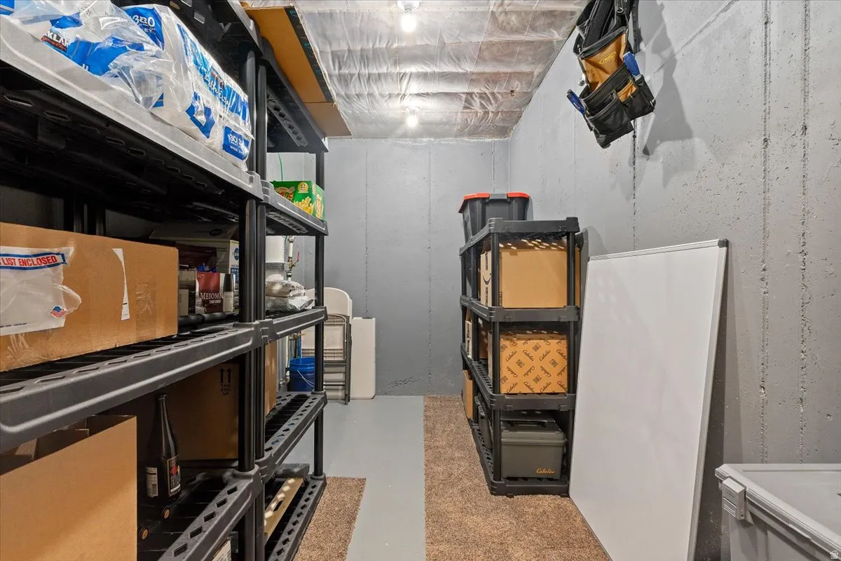 Finished lower level storage area with concrete walls and exposed ceiling joists